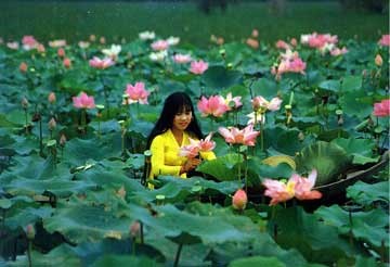 Viet Nam trong mat cac vi dai su nuoc ngoai